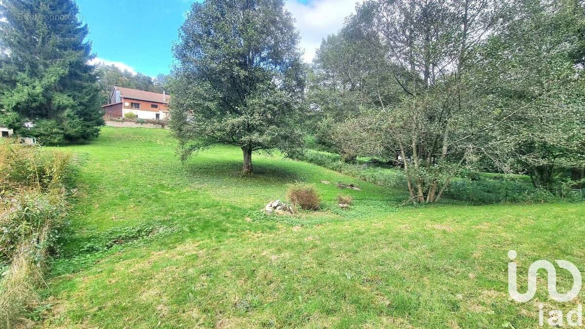 Photo 1 - Maison à ANOULD