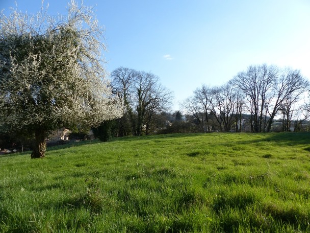 Terrain à LUSIGNAN