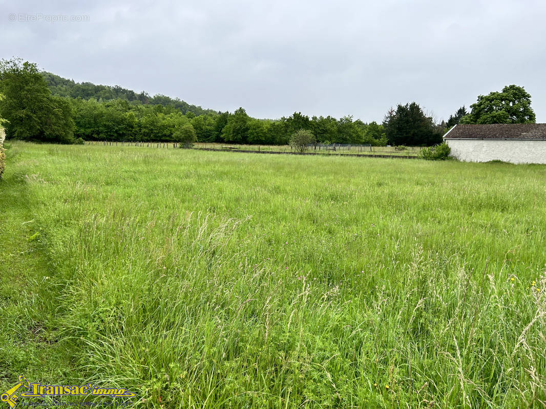 Terrain à RIS