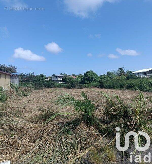 Photo 1 - Terrain à ANSE-BERTRAND