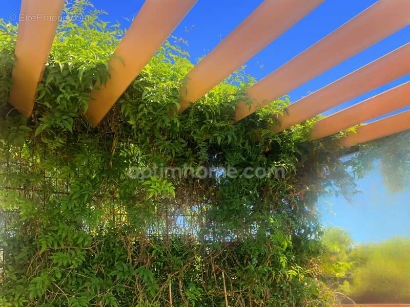 Appartement à JUVIGNAC