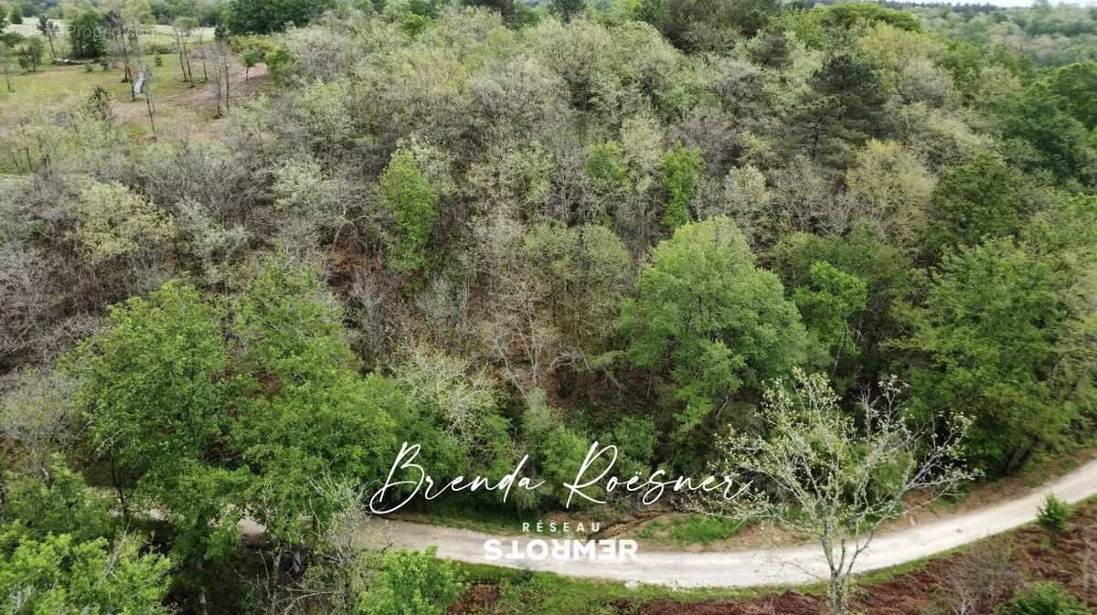 Terrain à VERGT