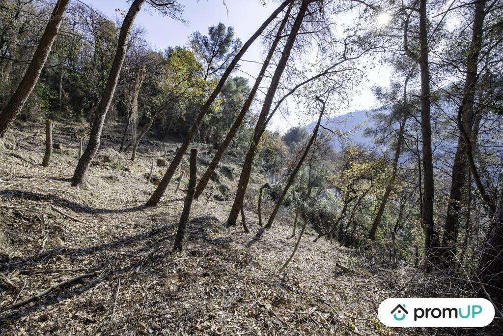 Terrain à GORBIO