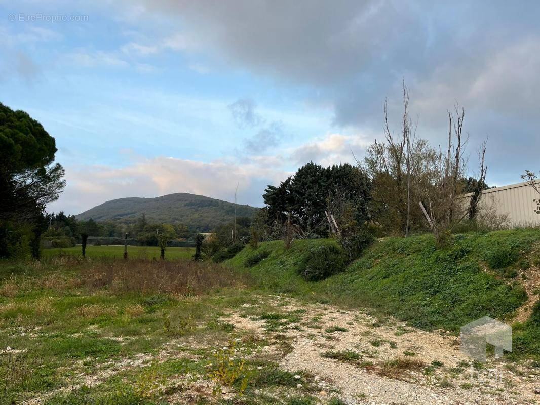 Terrain à MONTELIMAR
