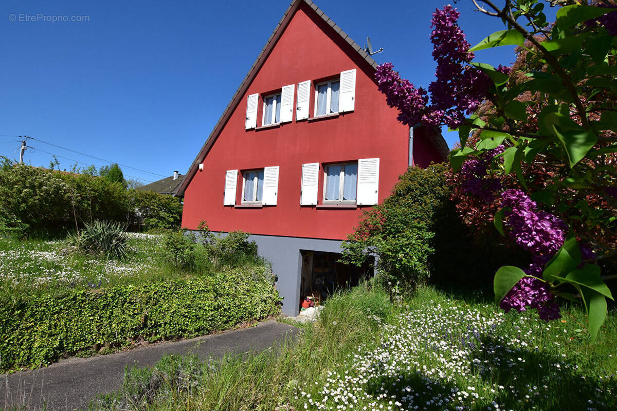 Maison à URMATT