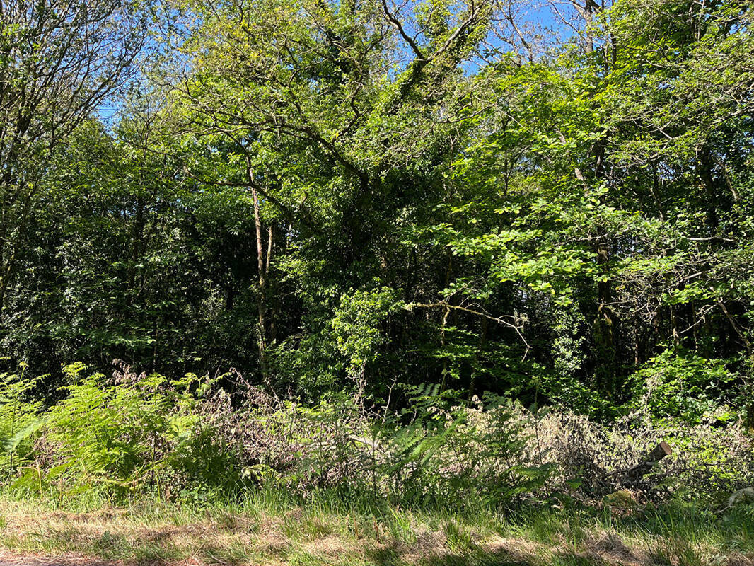 Terrain à BIGNAN