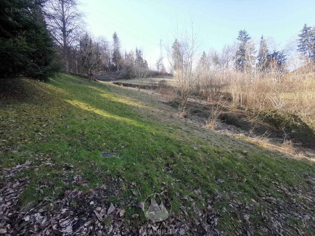 Terrain à DOMANCY