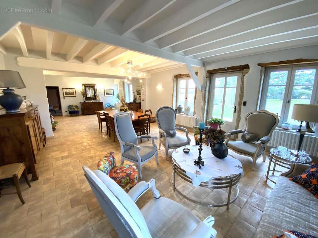 Photo 6 - Maison à MESSIMY-SUR-SAONE