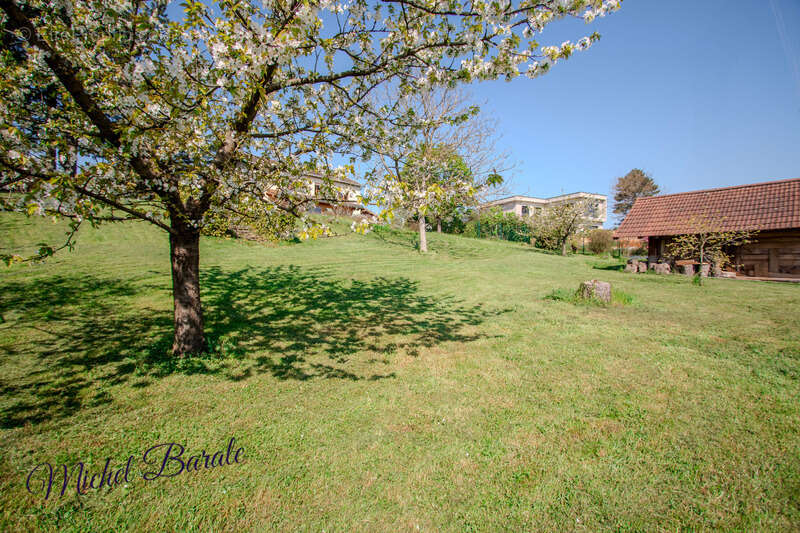 Maison à DARDILLY