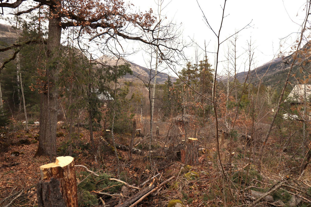 Terrain à BEAUVEZER
