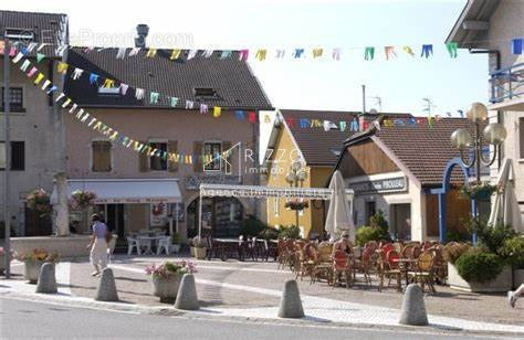 Commerce à SAINT-GENIS-POUILLY