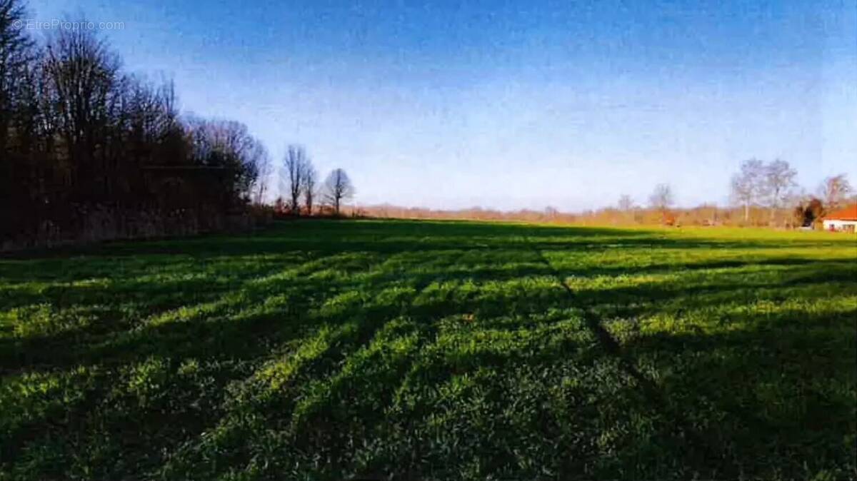 Terrain à ROOST-WARENDIN