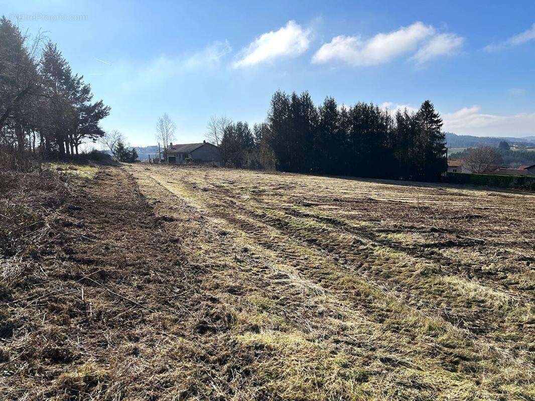 Terrain à TARARE