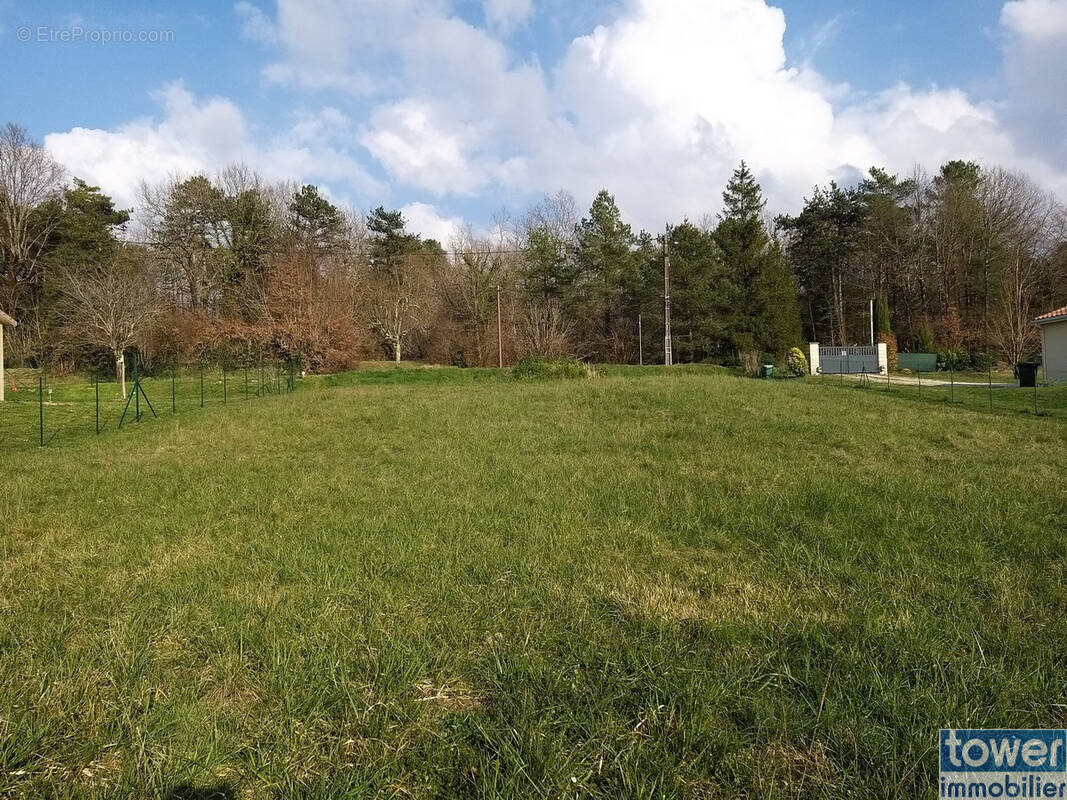 Terrain à SERS