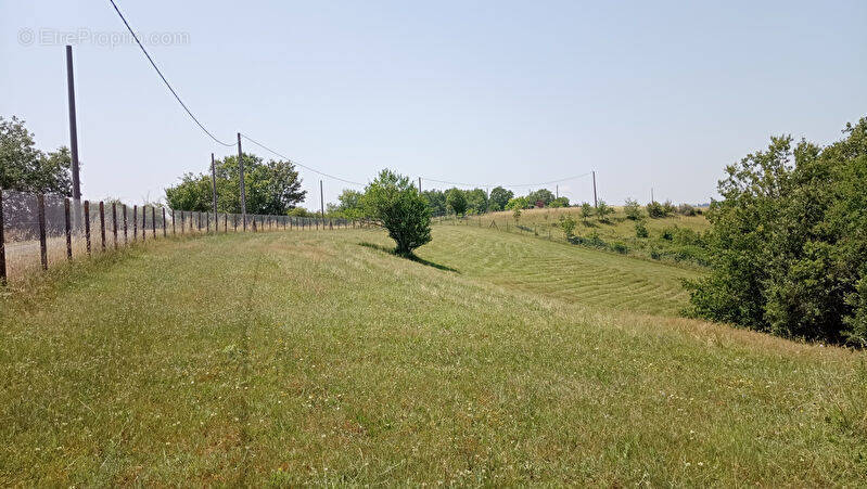 Terrain à LESCURE-D&#039;ALBIGEOIS
