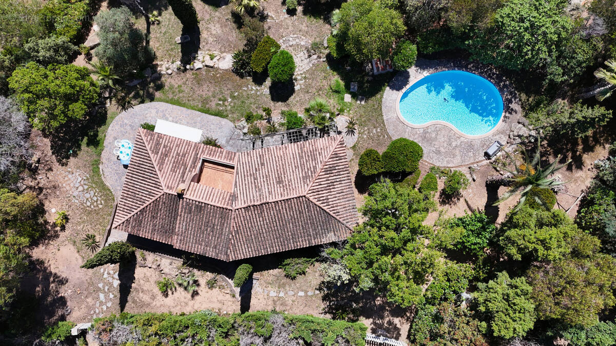 Maison à PORTO-VECCHIO