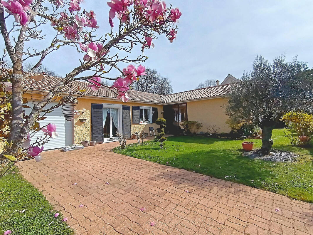 Maison à LISSIEU