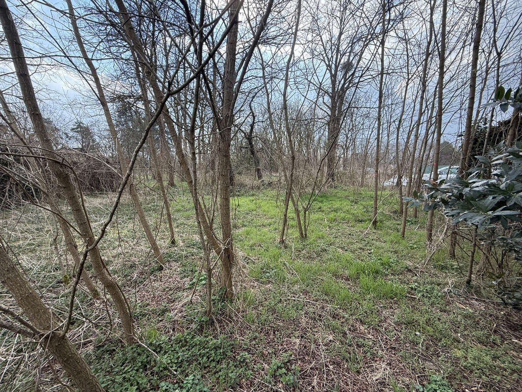 Terrain à GIEN