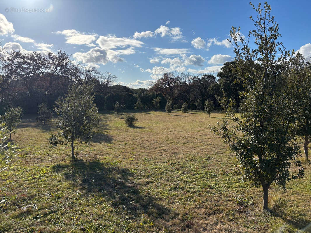 Terrain à GRIGNAN
