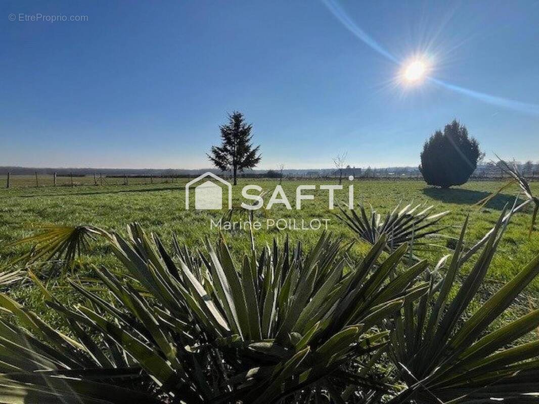 Photo 1 - Maison à MEURSAULT