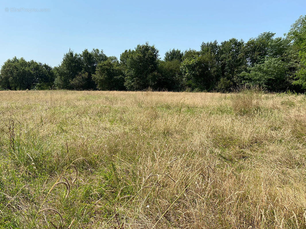 Terrain à PONTONX-SUR-L&#039;ADOUR