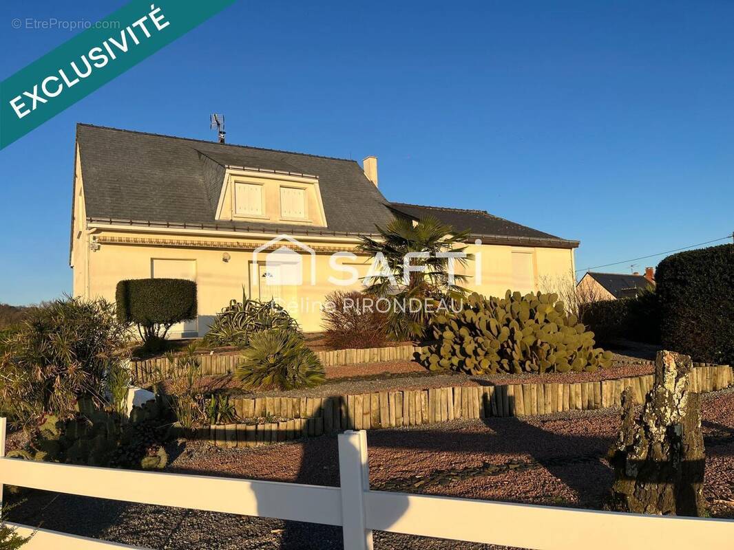 Photo 1 - Maison à SAINT-NICOLAS-DE-BOURGUEIL