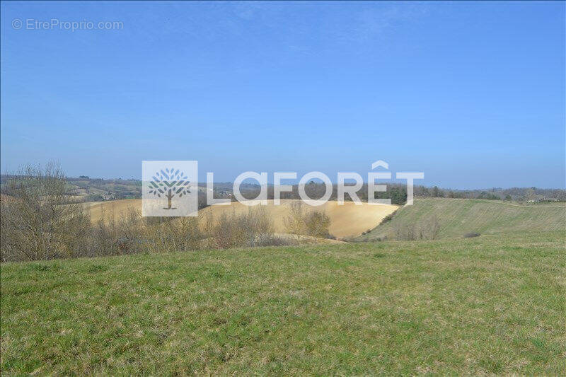 Terrain à MONCLAR-DE-QUERCY