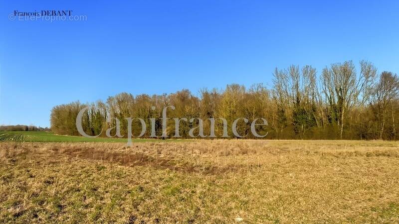 Terrain à SUIPPES