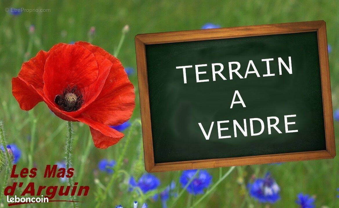 Terrain à YCHOUX