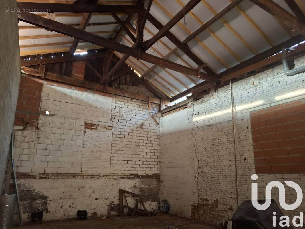 Photo 1 - Appartement à MONTAUBAN
