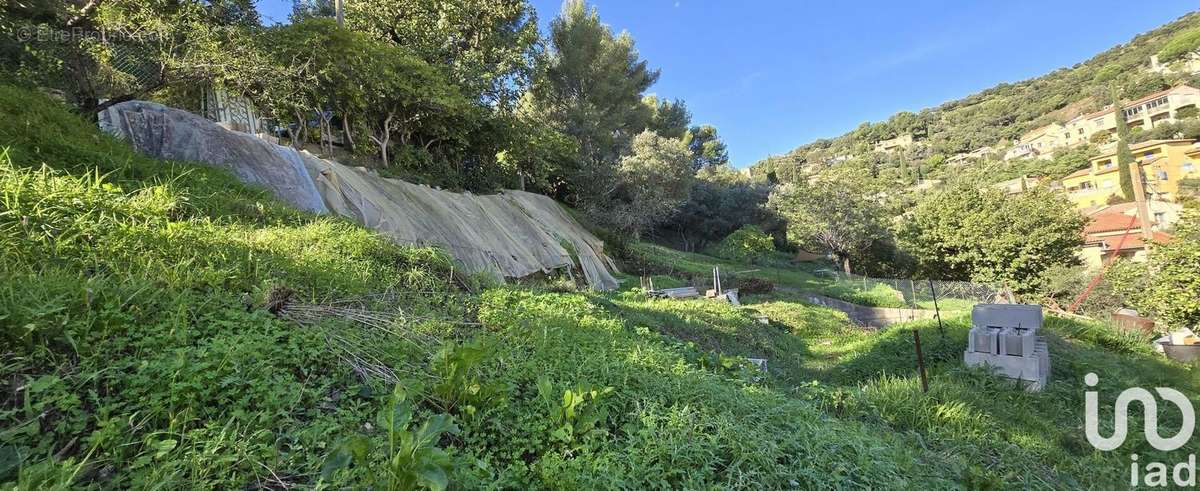 Photo 5 - Terrain à HYERES