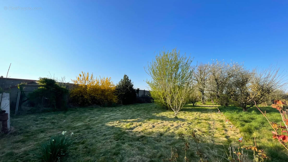 Terrain à BAISIEUX