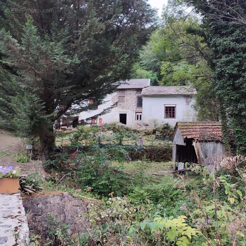Photo 2 - Maison à SAURAT
