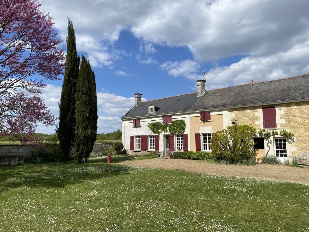 Maison à FONTEVRAUD-L&#039;ABBAYE