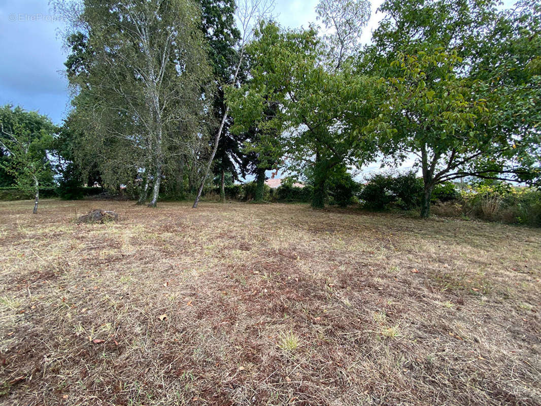 Terrain à HINX