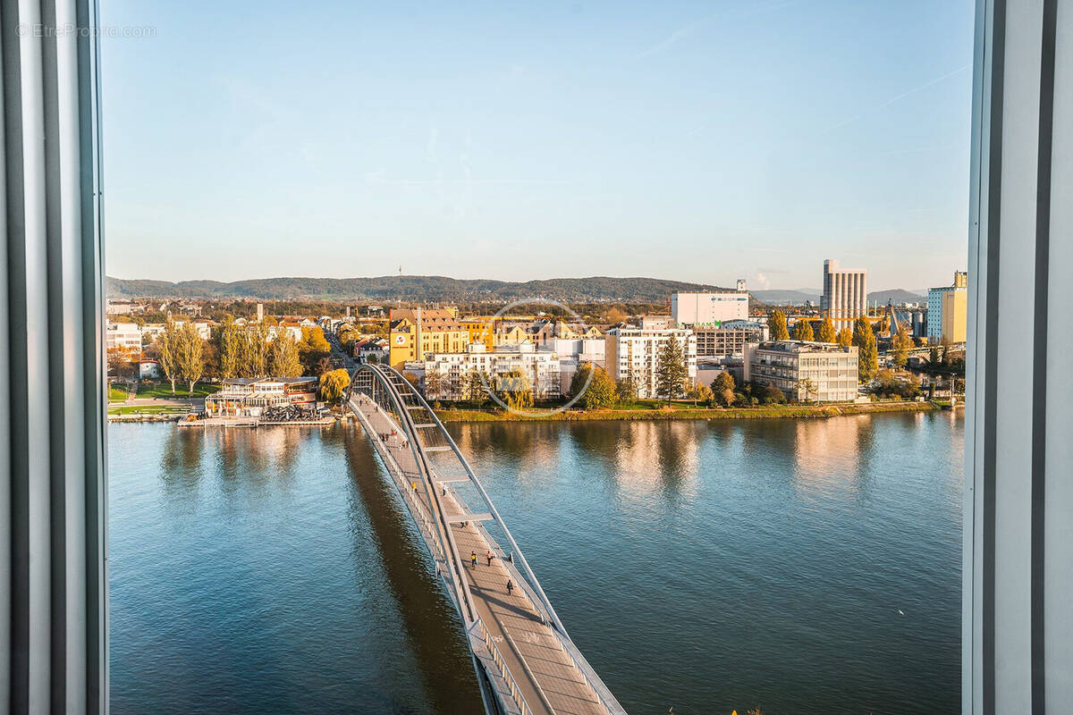 VUE ZEN DU BALCON - Appartement à HUNINGUE