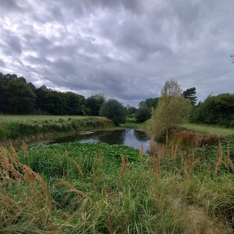 Terrain à NOYANT