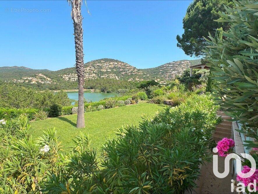 Photo 1 - Maison à LA LONDE-LES-MAURES