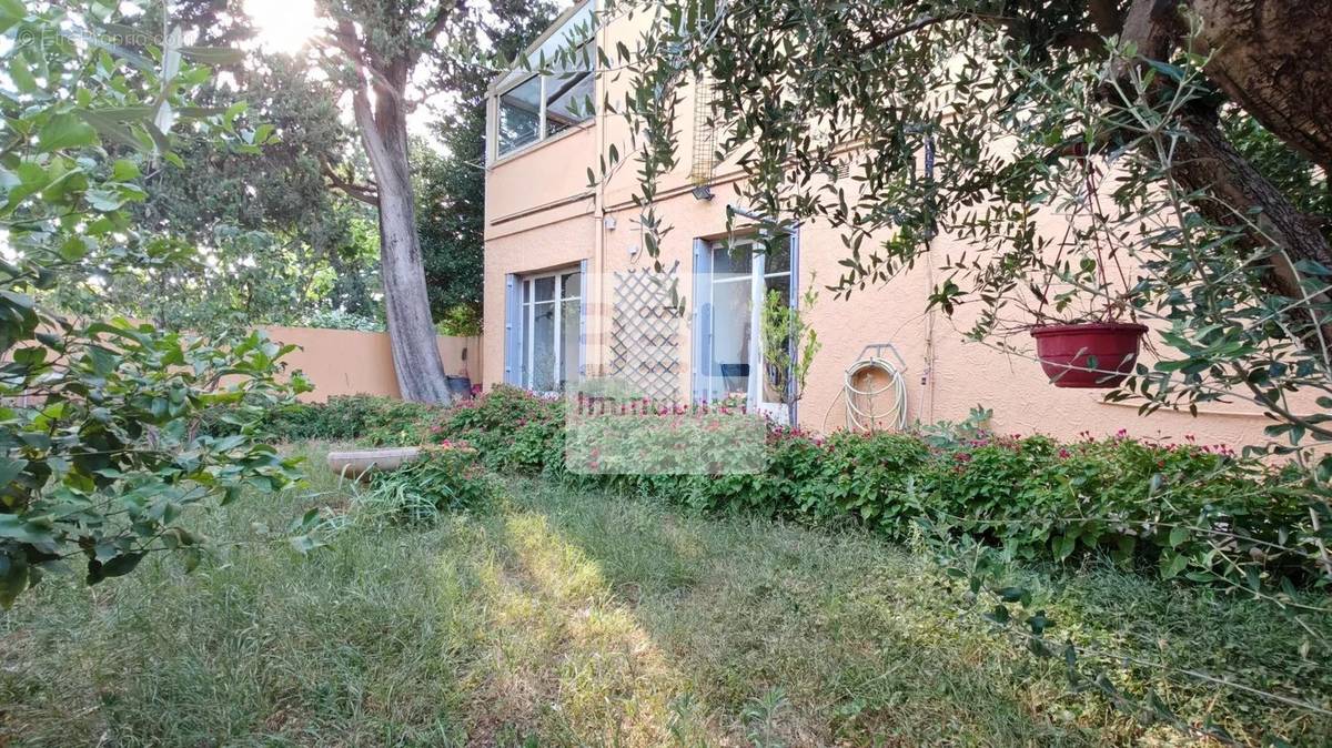 Maison à AVIGNON