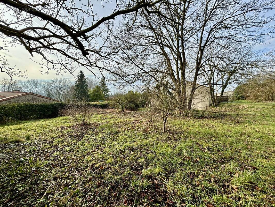 Terrain à MIGNE-AUXANCES