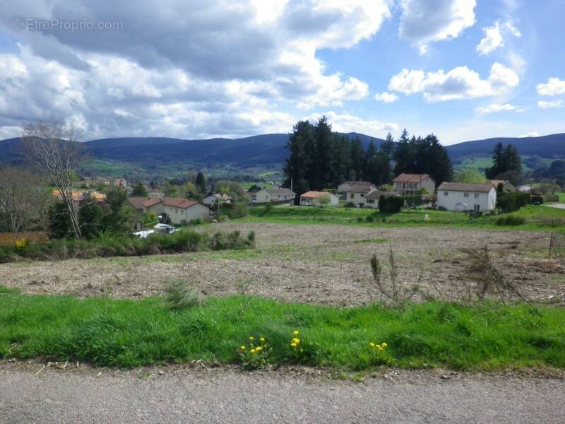 Terrain à NOIRETABLE
