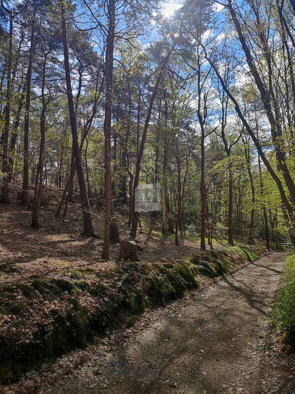 Terrain à BEAUMONT-LE-ROGER