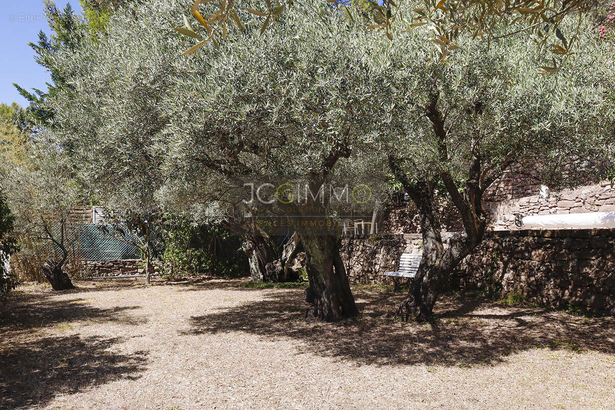 Maison à SOLLIES-PONT