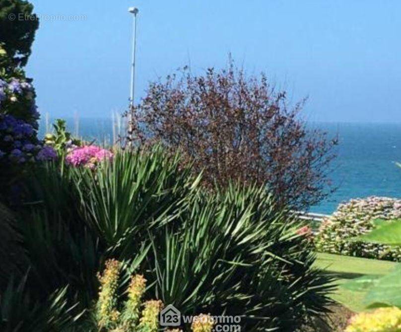Vue des maisonnettes - Appartement à TREVOU-TREGUIGNEC