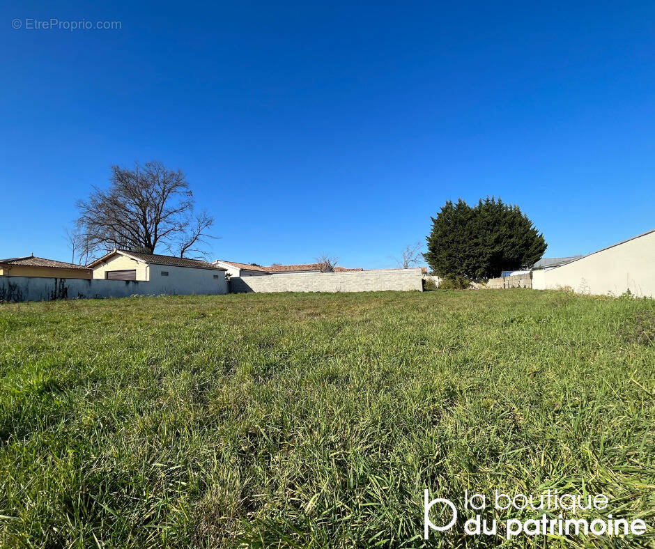 Terrain à SAINT-ANDRE-DE-CUBZAC