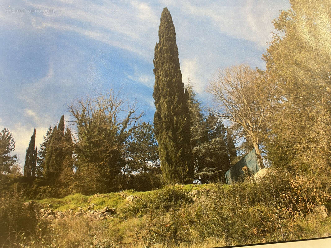 Terrain à PEYMEINADE