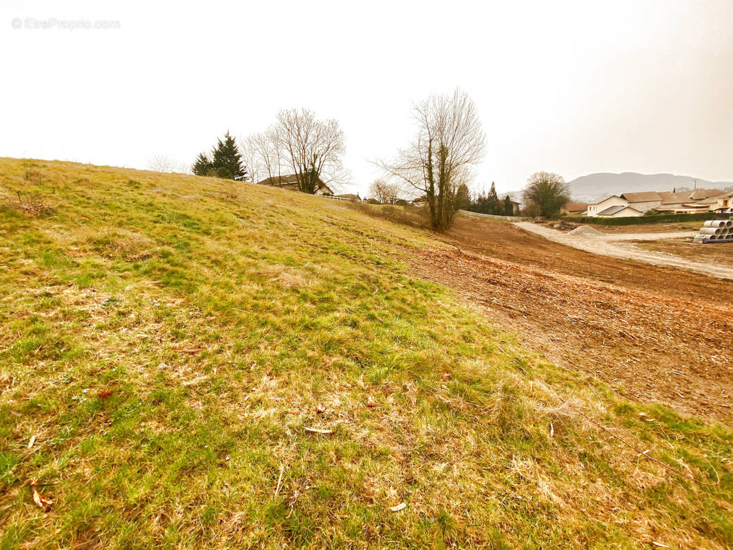 Terrain à CHARNECLES