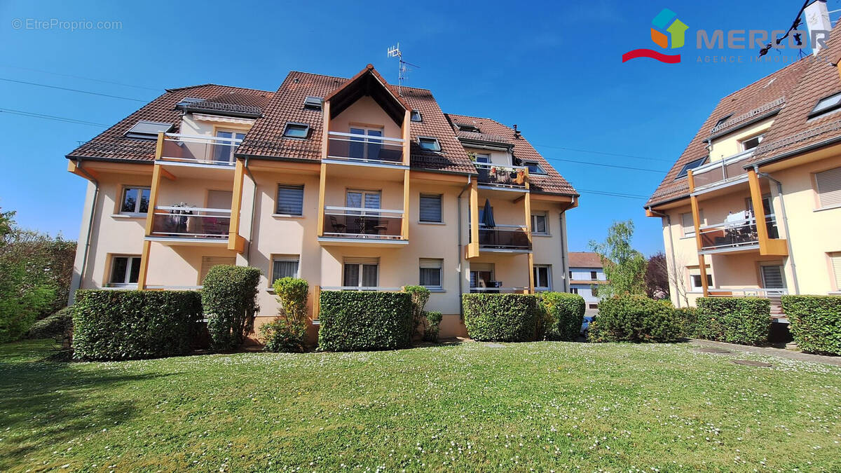 Appartement à ECKBOLSHEIM