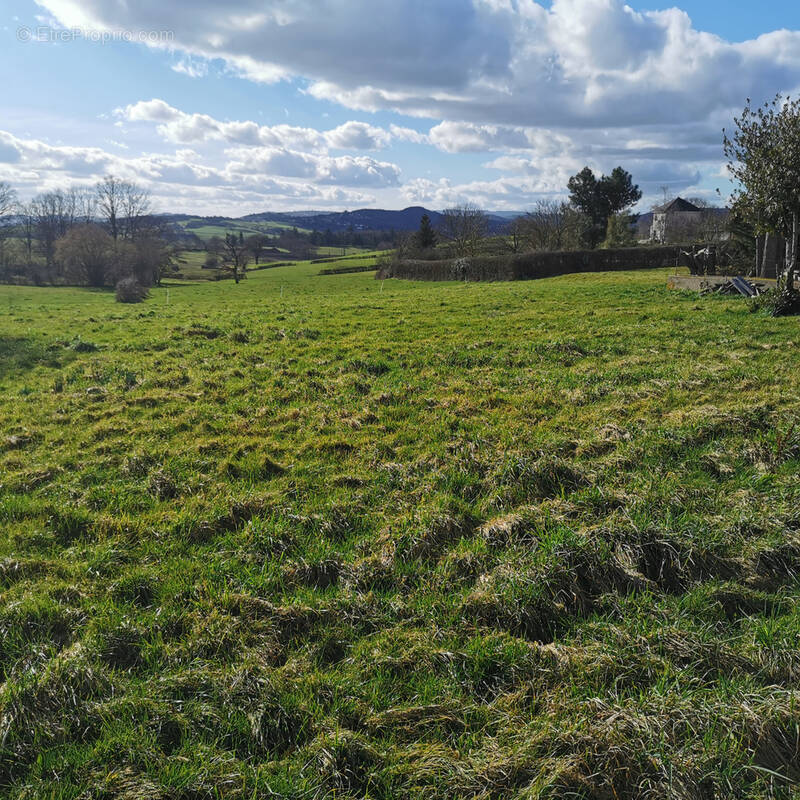 Terrain à SAINT-FIRMIN
