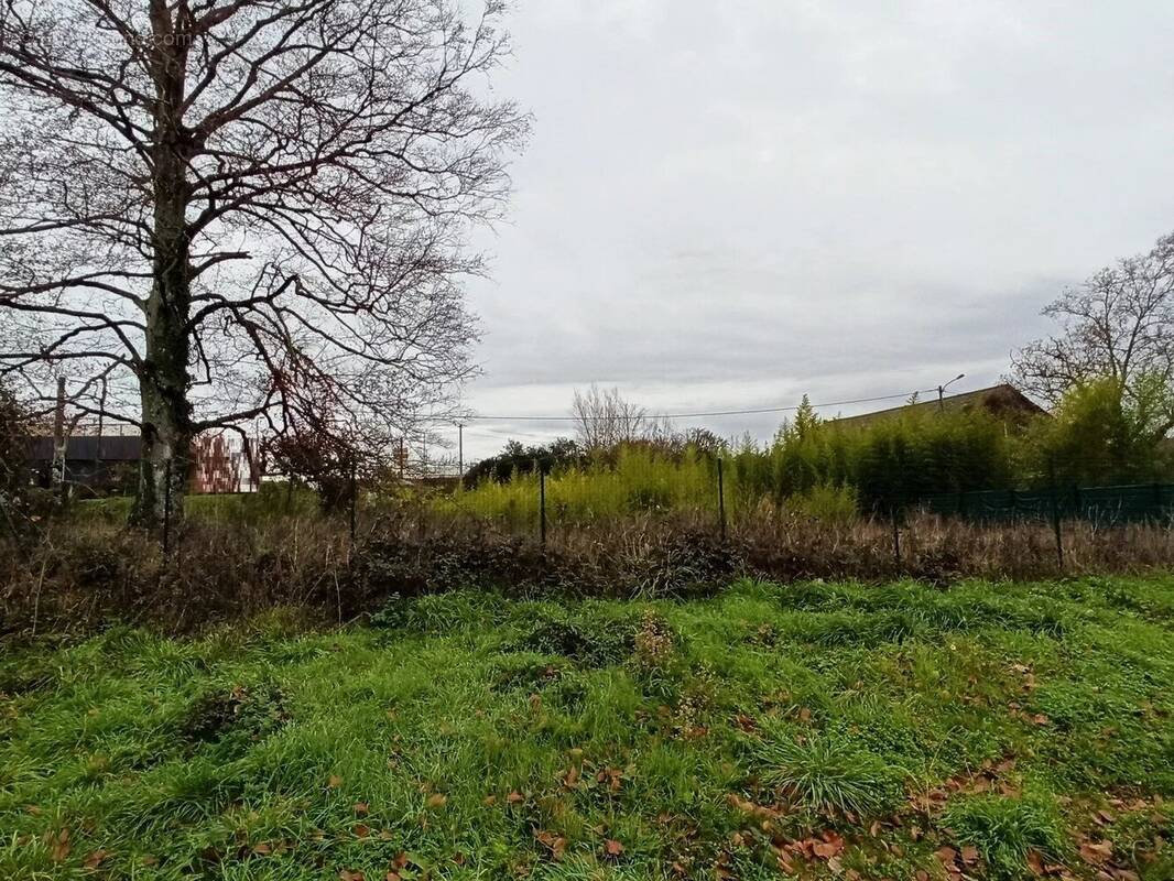 Terrain à LIMOGES